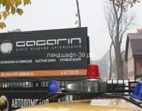 Спил и обрезка деревьев на автостоянке Gagarin
