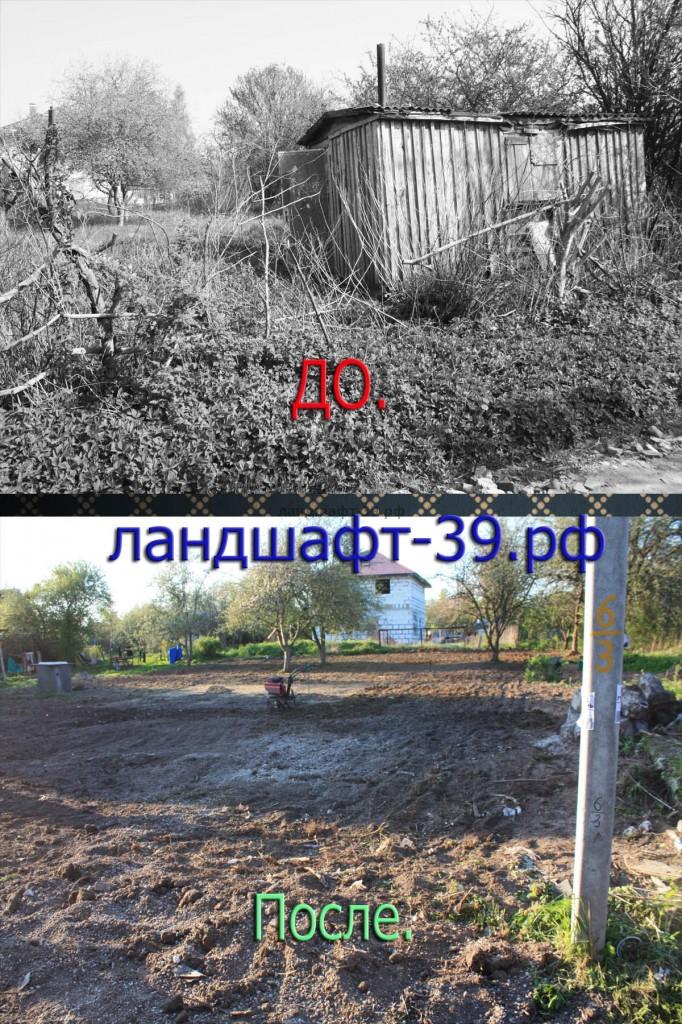 Расчистка участка в Калининграде