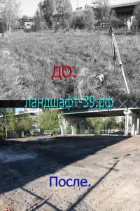 Расчистка участка в Калининграде фото до и после