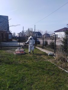 Обработка придомового участка от клещей в Калининграде