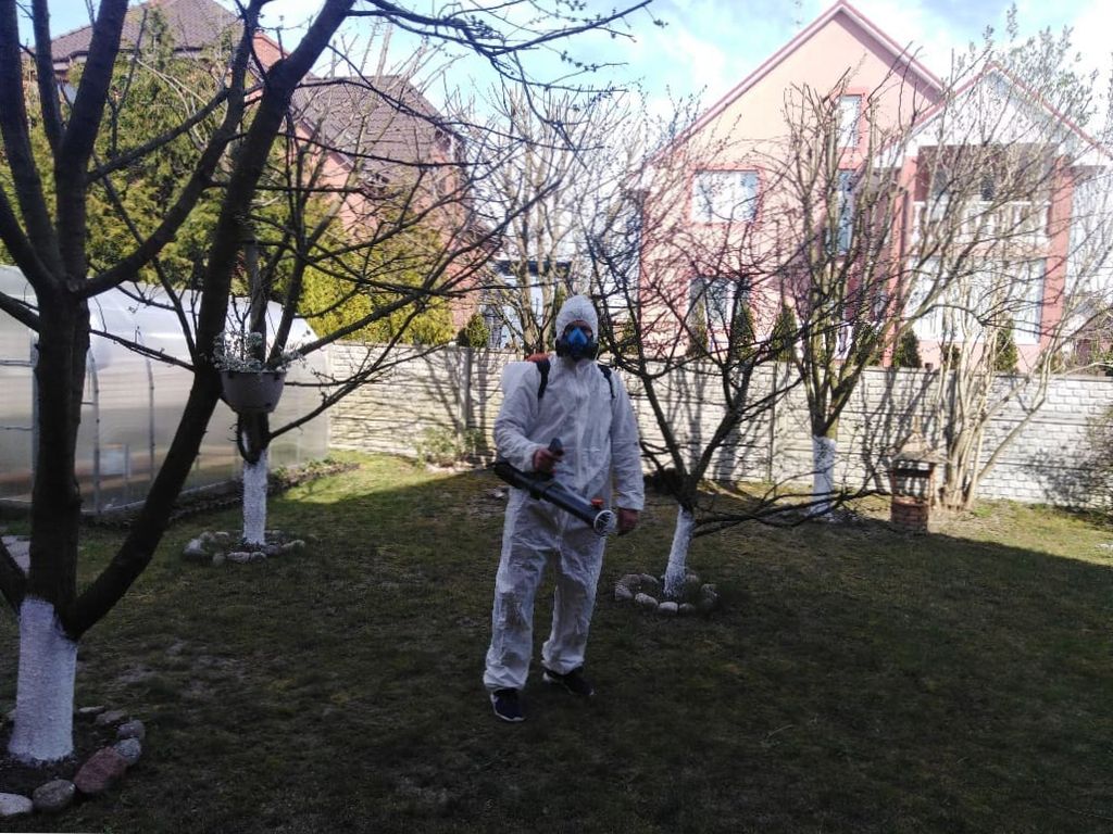 Обработка сада от вредителей в Калининграде