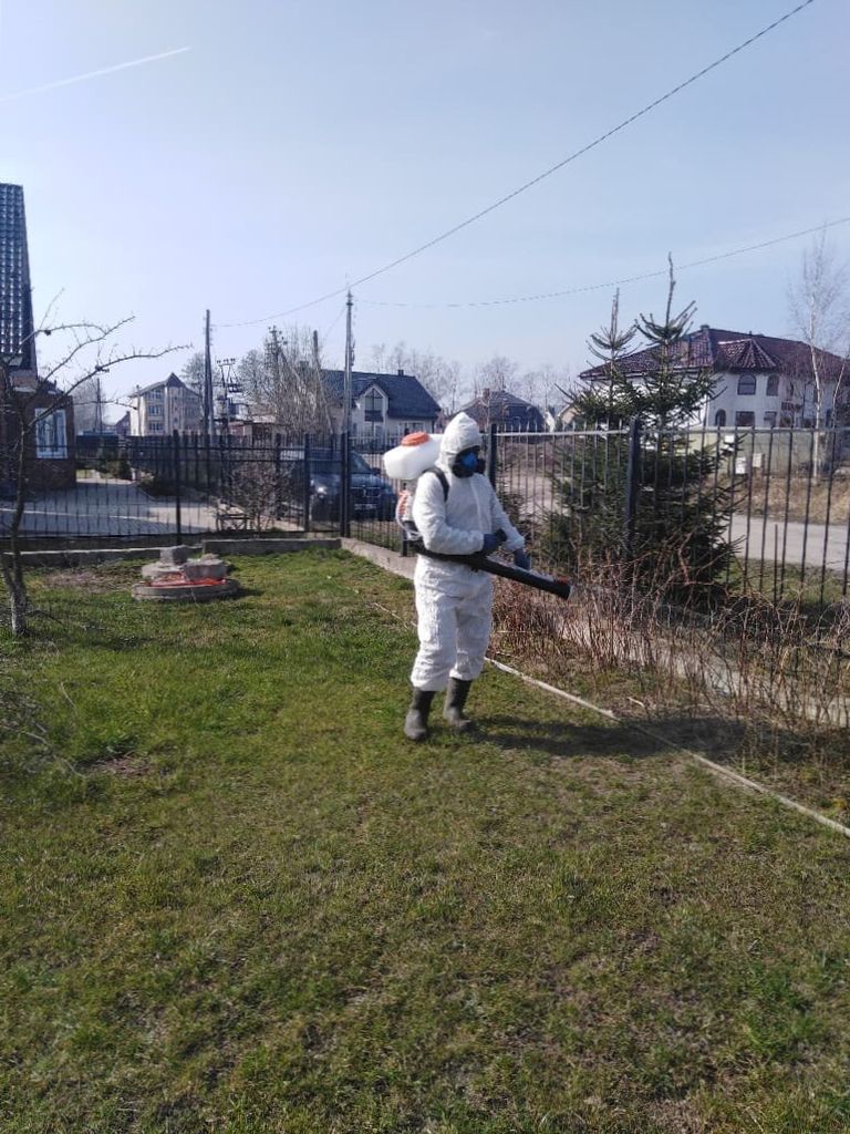 Обработка кустарника от болезней и вредителей в Калининграде