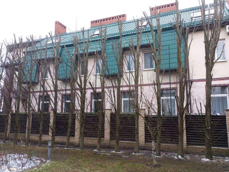 Спил деревьев в Калининграде