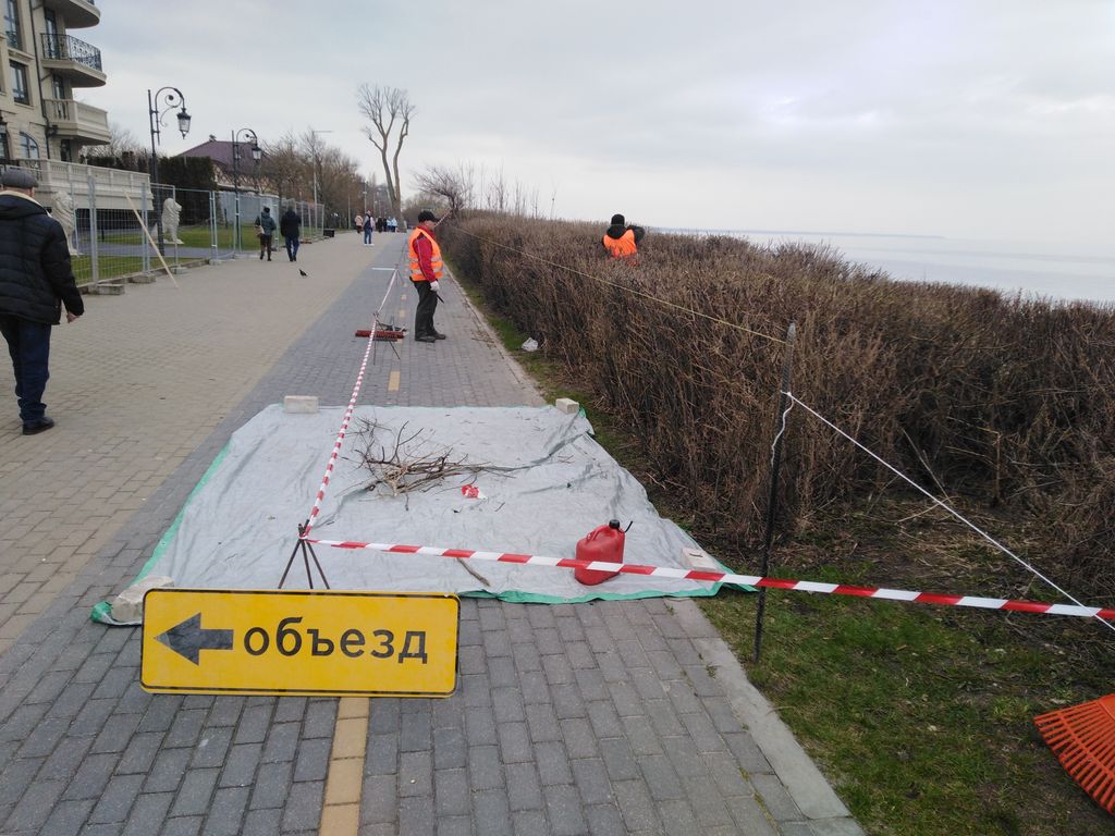 Стрижка кустов в г. Зеленоградск